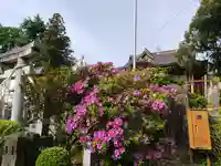 武蔵第六天神社(埼玉県)