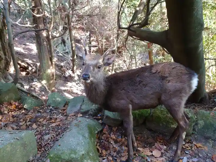 御山神社(厳島神社奧宮)(広島県)