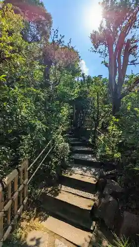 白金氷川神社の自然