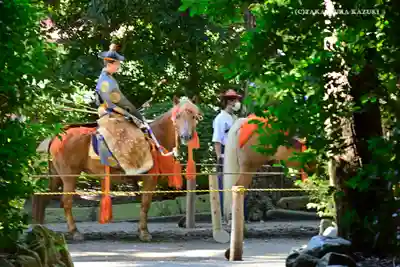 寒川神社(神奈川県)