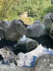 夫婦木神社姫の宮(山梨県)