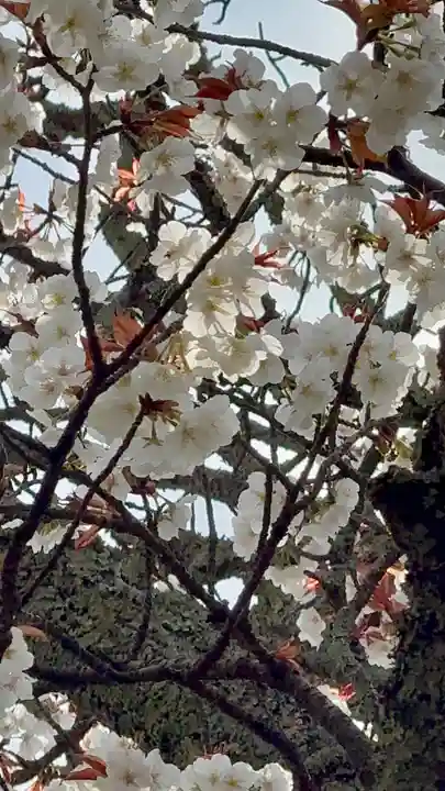 鷺森神社(京都府)