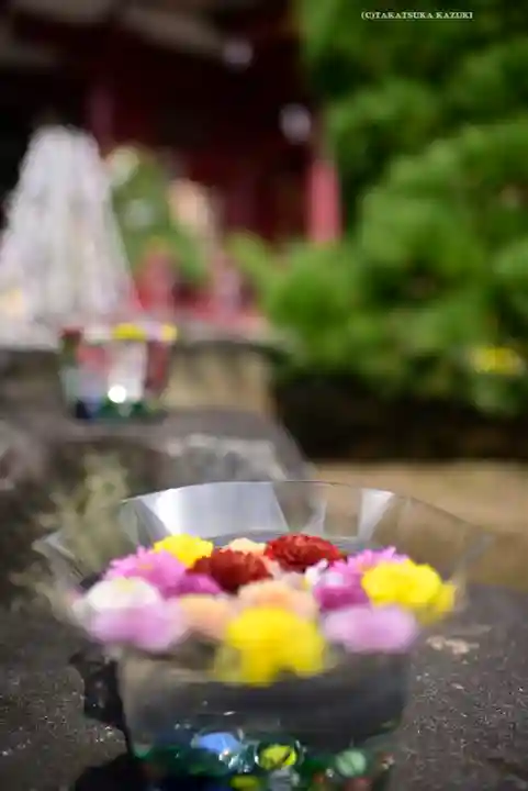 笠間稲荷神社(茨城県)