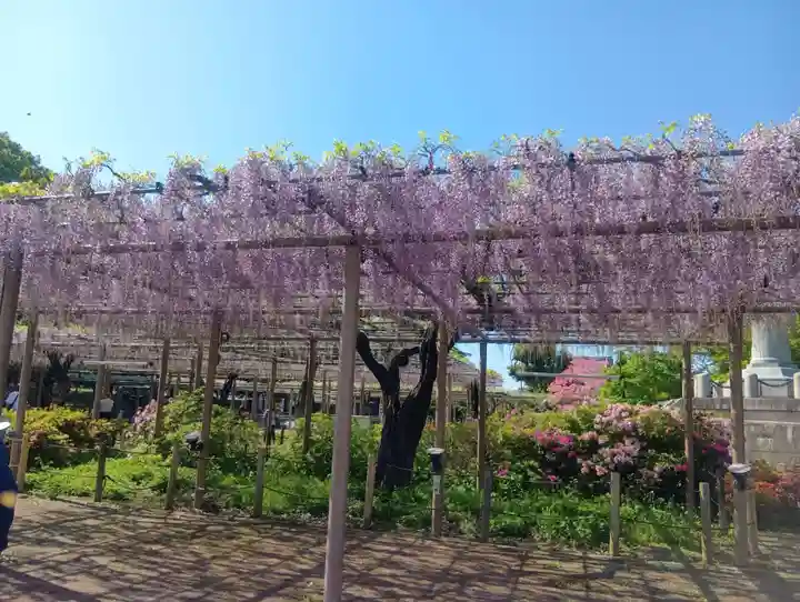 曼陀羅寺(愛知県)