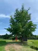 祖母神(千葉県)