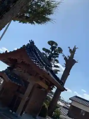 蓮光寺の末社・摂社