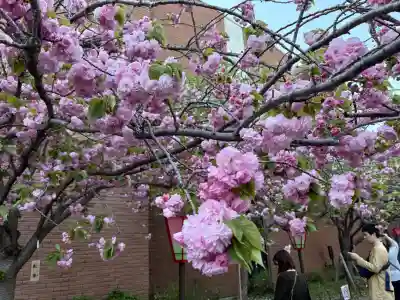 出会い不動の{uncategorized: "未分類", other: "その他", undefined: "問題あり", building: "その他建物", grave: "お墓", sacred_gate: "鳥居", guardian: "狛犬", statue: "像", buddha: "仏像", history: "歴史", nature: "自然", garden: "庭園", animal: "動物", pagoda: "塔", temizu: "手水舎", mountain_gate: "山門・神門", sanctuary: "本殿・本堂", subordinate: "末社・摂社", art: "芸術", scenery: "景色", jizo: "地蔵", ema: "絵馬", goshuin: "御朱印", omikuji: "おみくじ", items: "授与品その他", amulet: "お守り", goshuincho: "御朱印帳", eats: "食事", festival: "お祭り", votive_dance: "神楽", shichigosan: "七五三参", wedding: "結婚式", experience: "体験その他", initially: "初詣", around: "周辺", anti_infection: "感染症対策"}