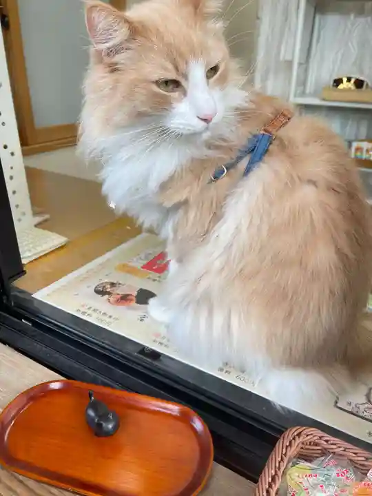 駒込妙義神社(東京都)