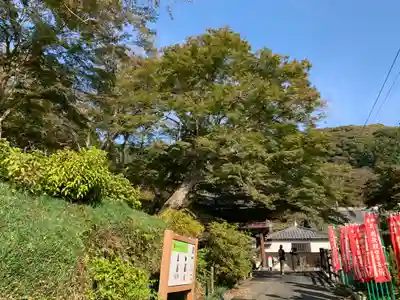 普門寺(切り絵御朱印発祥の寺)(愛知県)