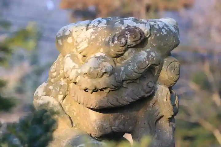 高司神社〜むすびの神の鎮まる社〜の狛犬
