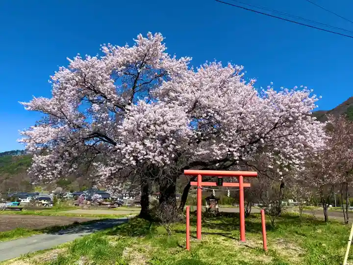 天神宮(伝河原氏屋敷跡)の自然