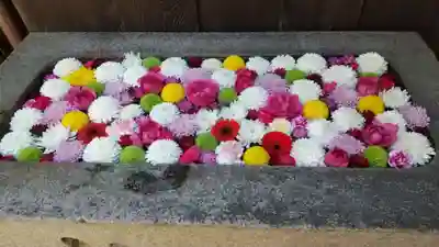 菅生神社の手水舎