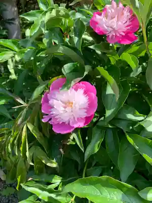 常鑑寺(群馬県)