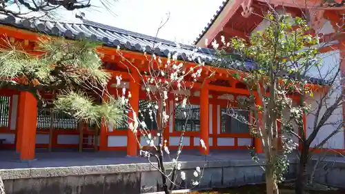 蓮華王院（三十三間堂）(京都府)