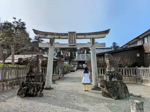 沙沙貴神社の鳥居