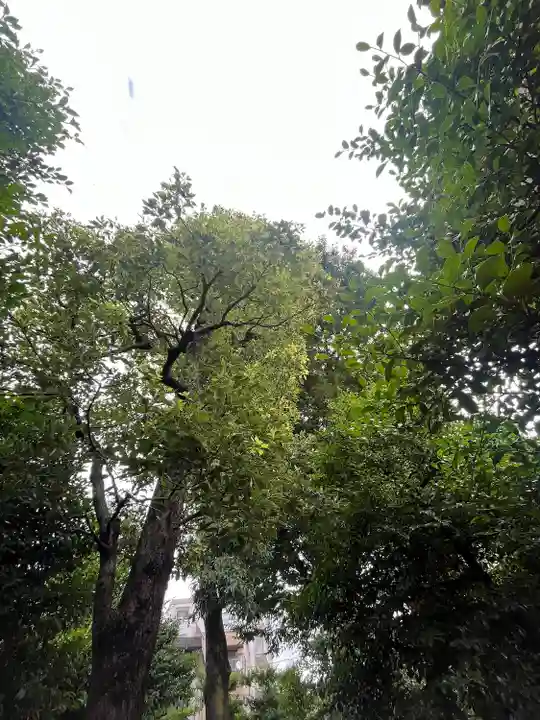 元郷氷川神社(埼玉県)