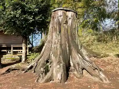 天満宮(栃木県)