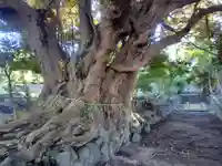 為朝神社(頭殿神社)(東京都)