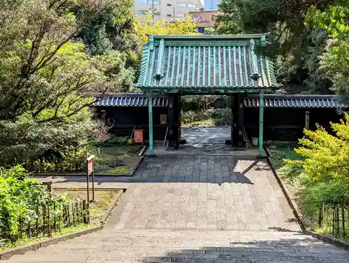 湯島聖堂の山門