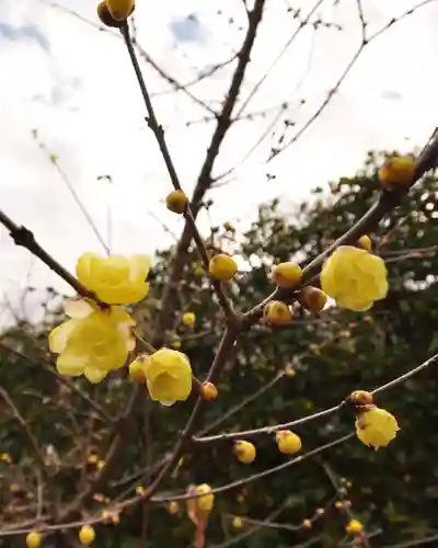 元興寺(奈良県)