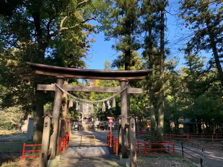 安房神社の鳥居