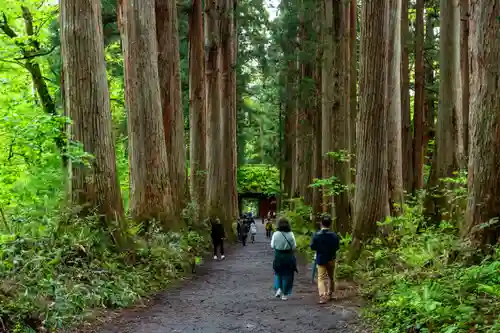 戸隠神社九頭龍社(長野県)