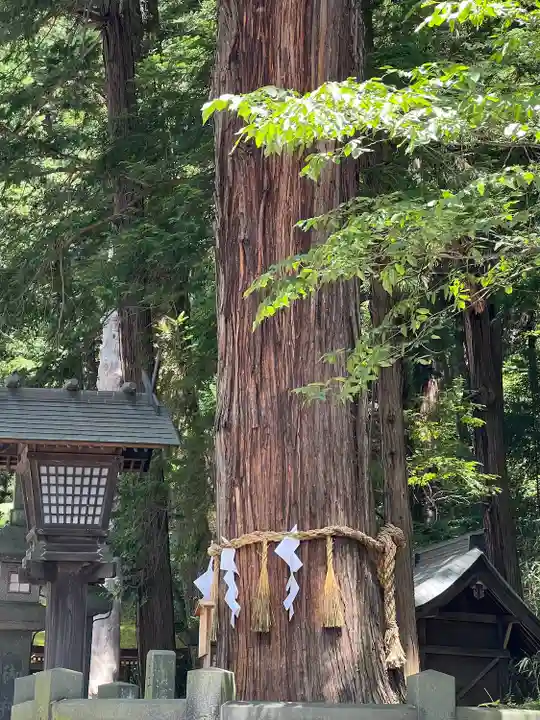 諏訪大社下社春宮(長野県)