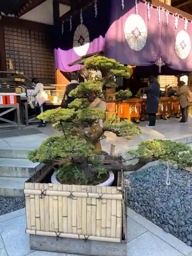 東京大神宮の庭園