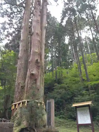 御岩神社の自然