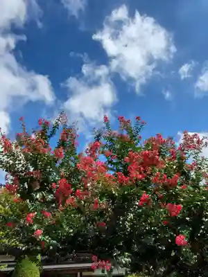 長泉寺(福島県)