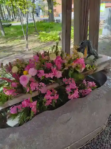 彌彦神社　(伊夜日子神社)の手水舎