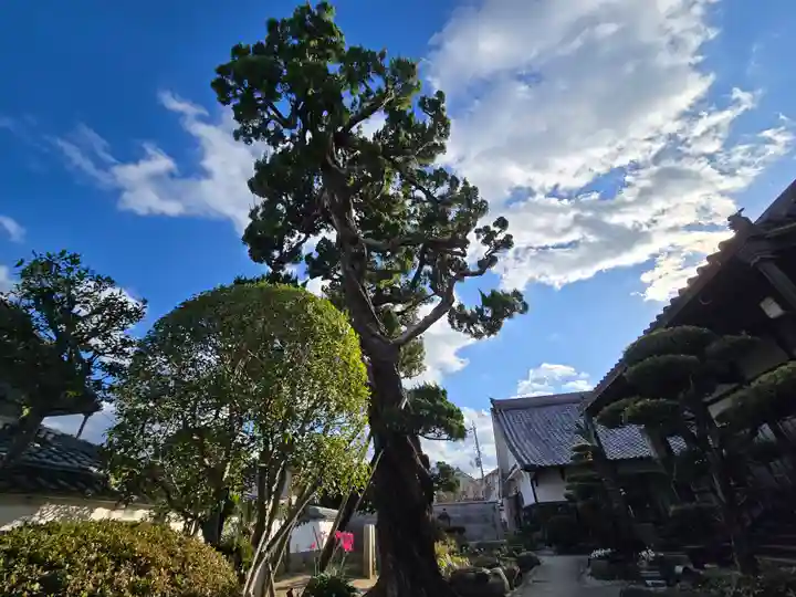 月光寺(大阪府)