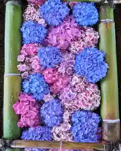 立志神社(滋賀県)(2025年06月16日(月) 17時27分39秒投稿)