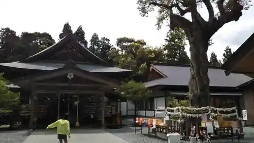 井伊谷宮の本殿