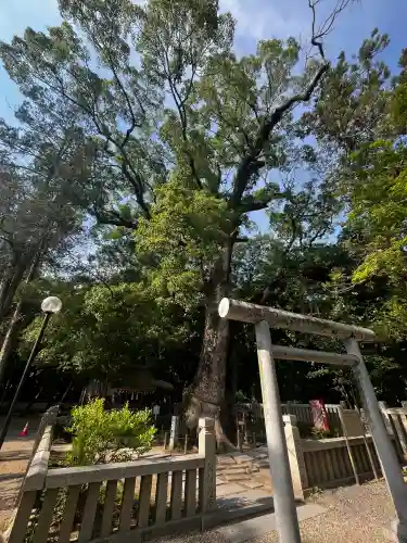 伊弉諾神宮(兵庫県)