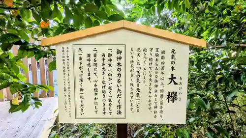 鎮守氷川神社のその他建物