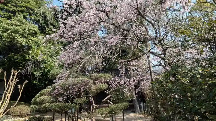 向日神社(京都府)