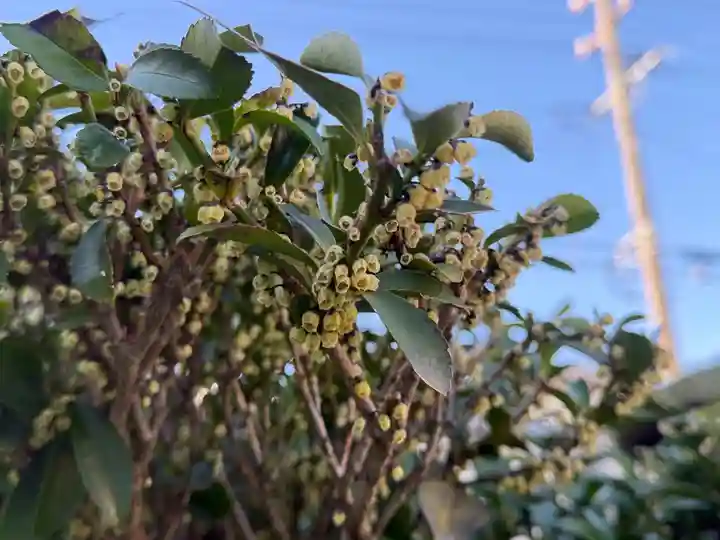 西方山極楽寺(岐阜県)