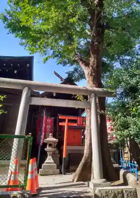 櫻木神社(東京都)