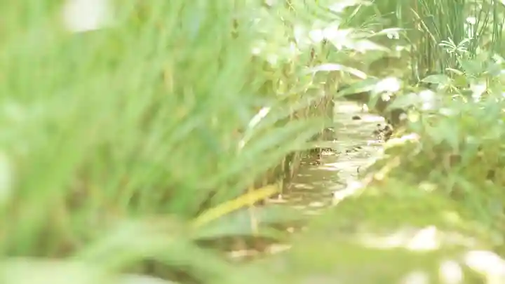 詩仙堂(丈山寺)(京都府)