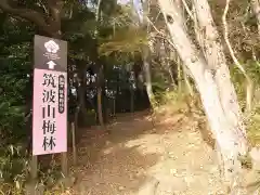 筑波山神社(茨城県)