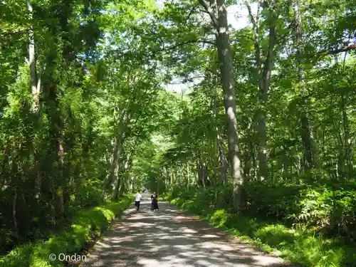 戸隠神社奥社(長野県)