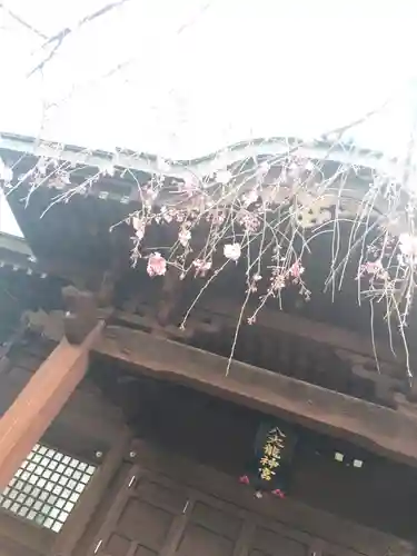 八大龍神総宮社の本殿・本堂