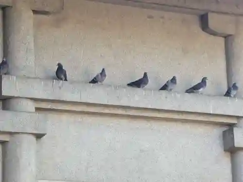千住神社(東京都)