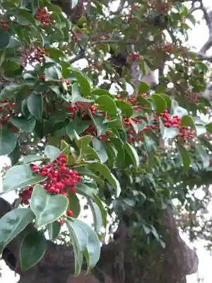 金攫八幡宮(京都府)