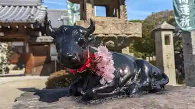 大松禅寺(京都府)