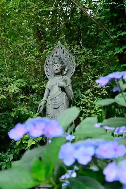 高幡不動尊 金剛寺の仏像