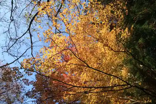 霊山神社の自然