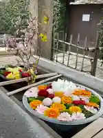 上野東照宮の手水舎