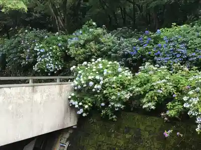 高幡不動尊　金剛寺(東京都)